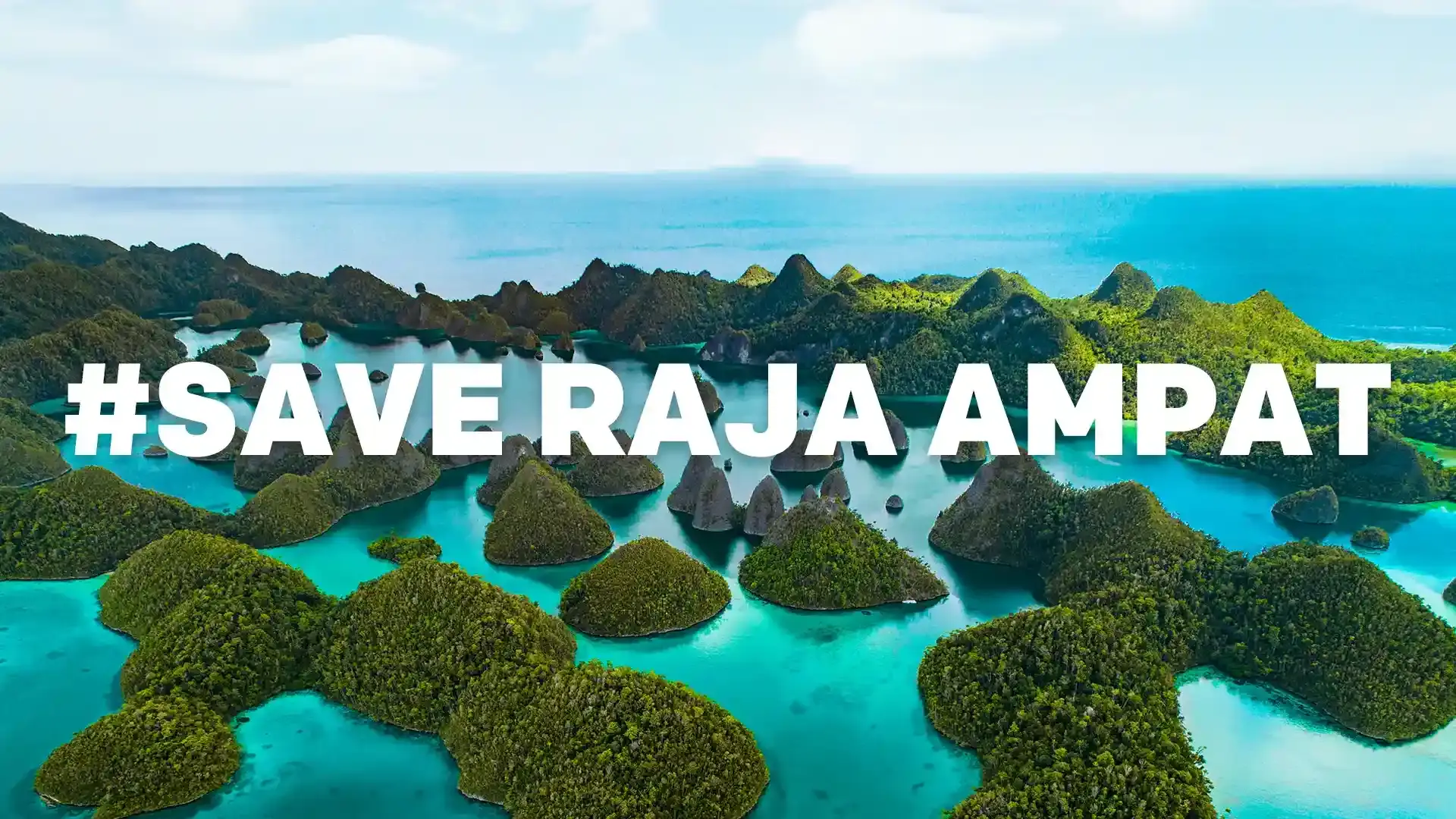 Beragam Selebritas Ikut Bersuara Untuk #SaveRajaAmpat