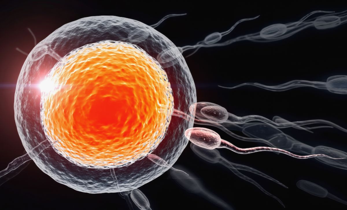 Perbedaan Sperma Wanita dan Pria: Fakta Ilmiah yang Perlu Kamu Tahu