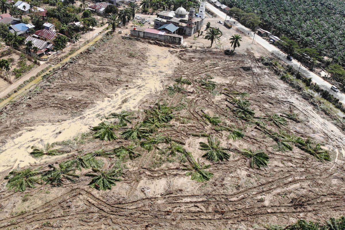 BUMN dan Kementerian Percepat Pembangunan 22.000 Hunian untuk Korban Bencana Sumatera