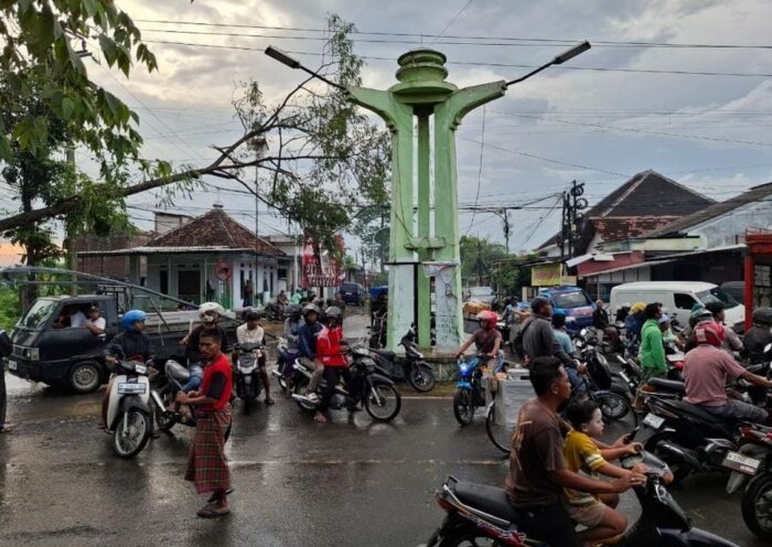 Angin Kencang Landa Pasuruan, 6 Rumah Rusak dan Dua Pohon Besar Tumbang
