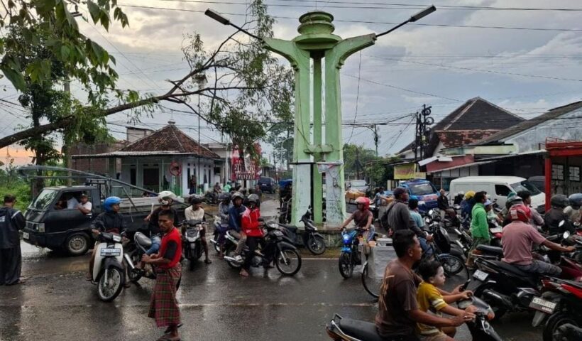 Angin Kencang Landa Pasuruan, 6 Rumah Rusak dan Dua Pohon Besar Tumbang