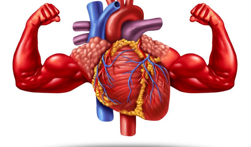 Olahraga untuk Kesehatan Jantung: Panduan Lengkap Agar Jantung Anda Kuat dan Sehat