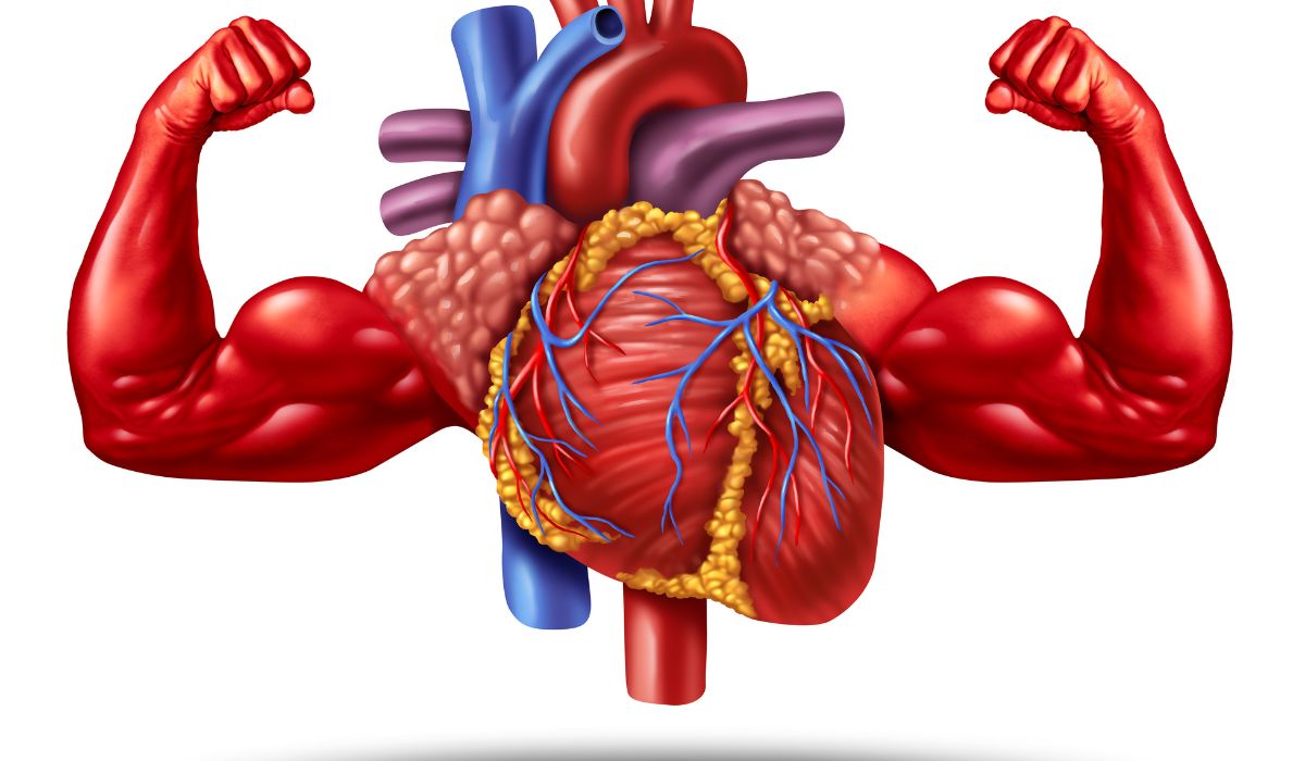 Olahraga untuk Kesehatan Jantung: Panduan Lengkap Agar Jantung Anda Kuat dan Sehat