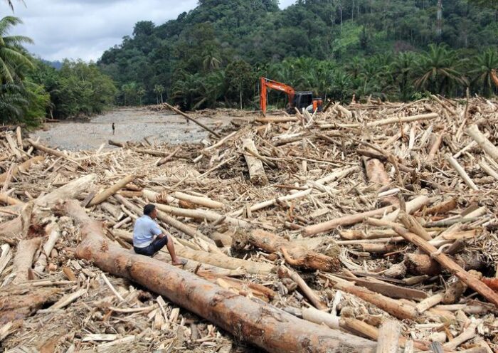 Pemerintah Investigasi Penyebab Banjir Sumatra