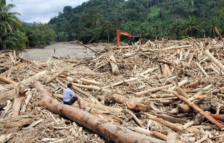 Pemerintah Investigasi Penyebab Banjir Sumatra