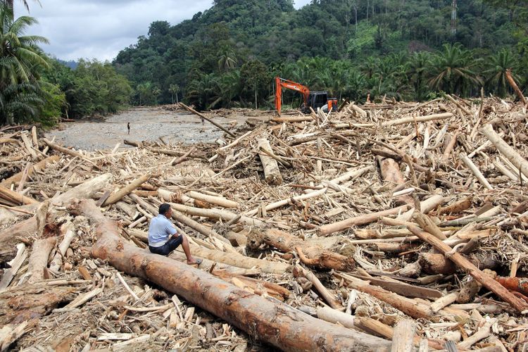 Kerusakan Lingkungan Disebut Perparah Banjir Bandang di Sumatera, Pemerintah Lakukan Investigasi