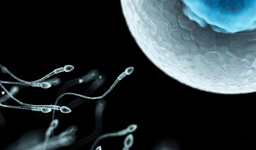 Sperma Encer Apakah Bisa Hamil