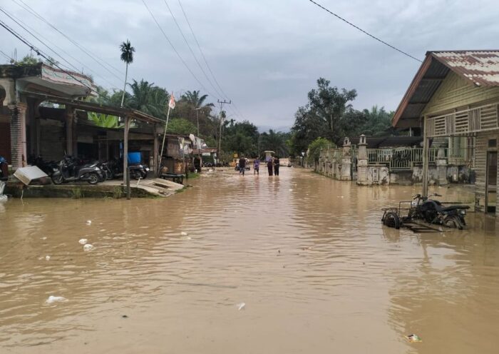 Banjir Landa Aceh Utara dan Timur, Pemerintah Pacu Normalisasi Sungai