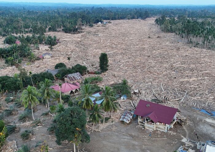 Polri Gelar Perkara dengan Kejagung, Tersangka Kasus Kayu Gelondongan di Banjir Sumatera Segera Ditetapkan
