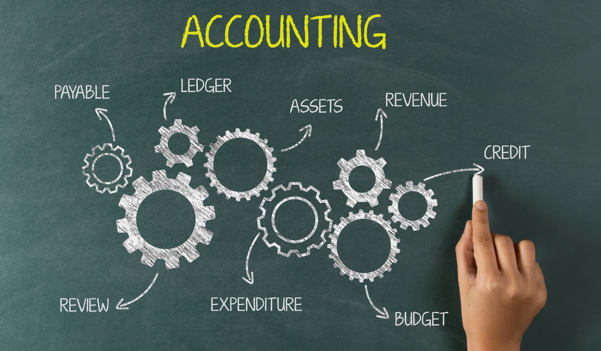 Lulusan STAN Jadi Apa? Peluang Karier dan Profesi Menjanjikan