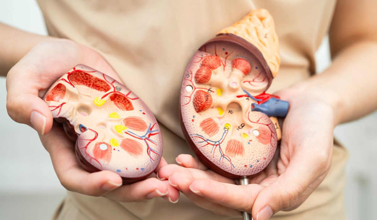 Gagal Ginjal di Usia Muda: Kenali Penyebabnya Sebelum Terlambat