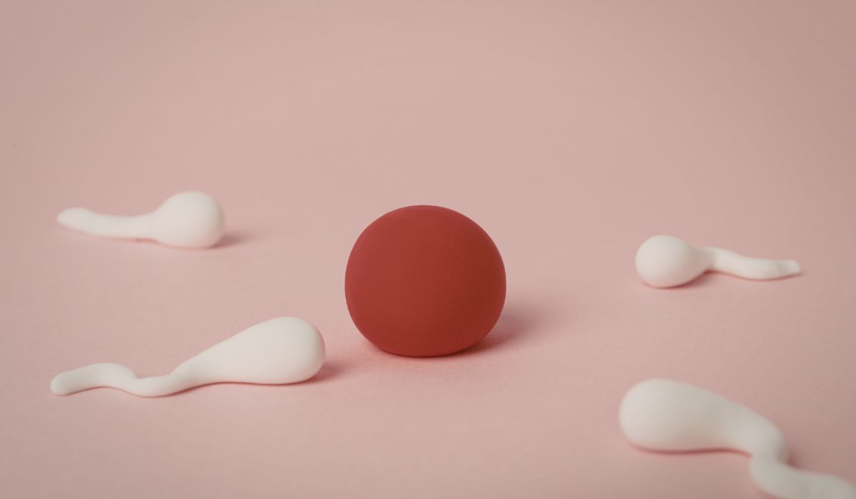 Berapa Lama Sperma Bertahan di Rahim? Fakta Lengkap untuk Program Hamil