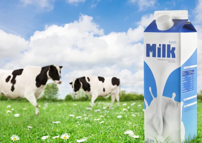 Nestle Perluas Penarikan Global Susu Formula Bayi, Cemaskan Kontaminasi Racun Cereulide