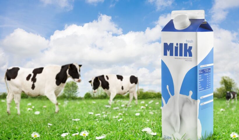 Nestle Perluas Penarikan Global Susu Formula Bayi, Cemaskan Kontaminasi Racun Cereulide