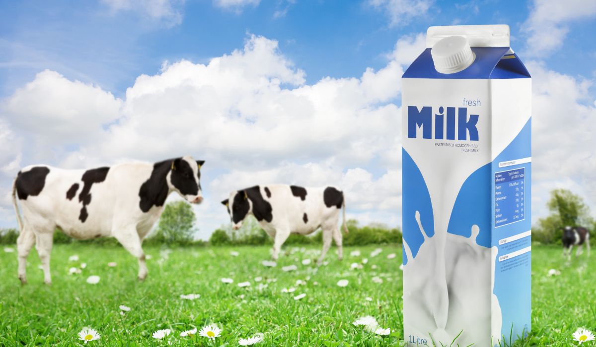 Nestle Perluas Penarikan Global Susu Formula Bayi, Cemaskan Kontaminasi Racun Cereulide