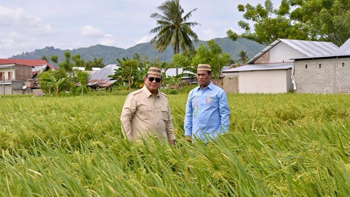 Prabowo Optimistis Indonesia Segera Menjadi Kekuatan Baru Pangan Dunia