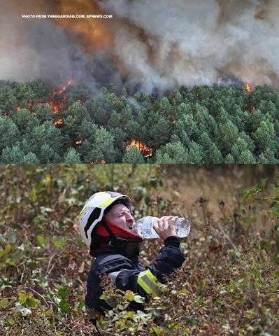 Kebakaran Hutan Besar Landa Prancis Barat Daya, Gelombang Panas dan Angin Kencang Jadi Pemicu Utama