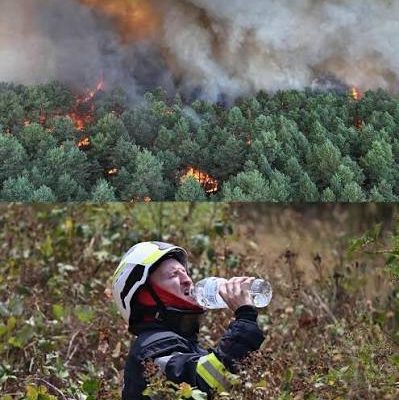 Kebakaran Hutan Besar Landa Prancis Barat Daya, Gelombang Panas dan Angin Kencang Jadi Pemicu Utama