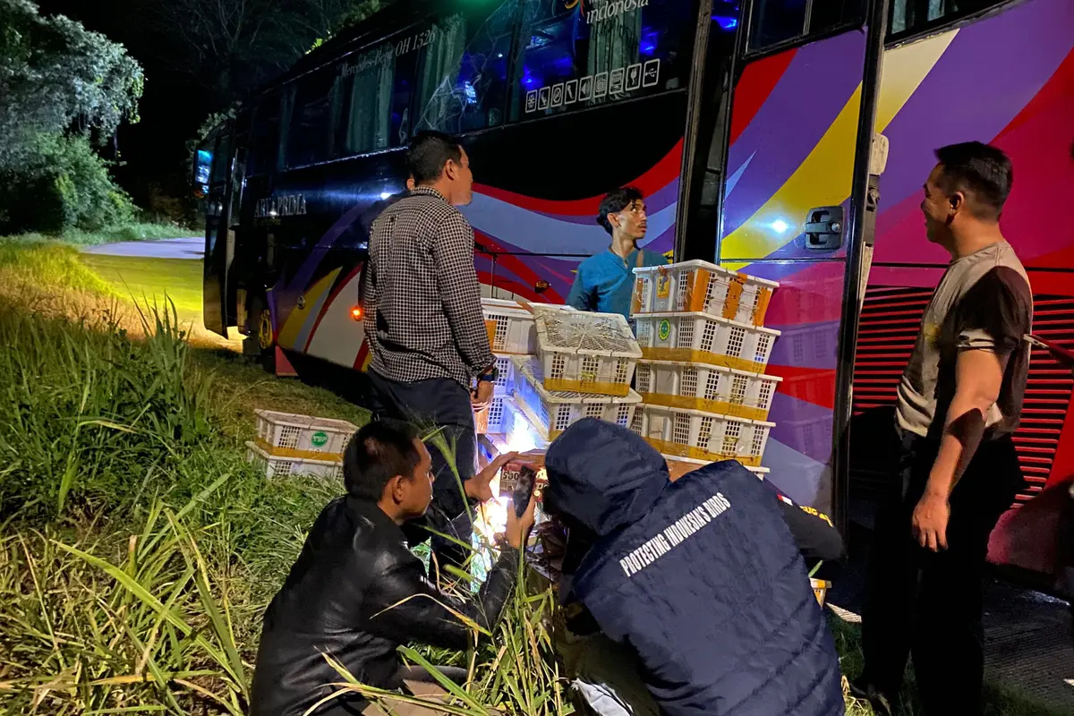 Ratusan Burung Diamankan di Terminal, Upaya Penyelundupan 670 Ekor ke Jakarta Digagalkan Petugas