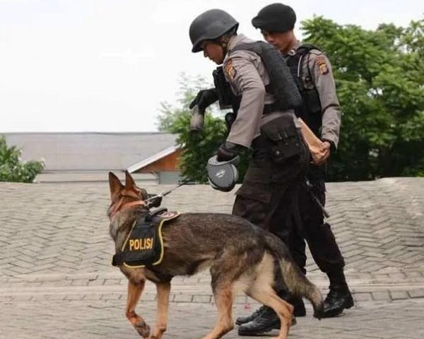 Jasa K-9 di Kawasan Elite SCBD Ternyata Bernilai Jutaan Rupiah Setiap Bulan