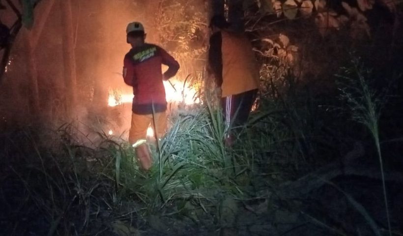 Video Bocah Pergoki Pria Bersenter di Tengah Karhutla, Dua Terduga Pelaku Diamankan Polisi