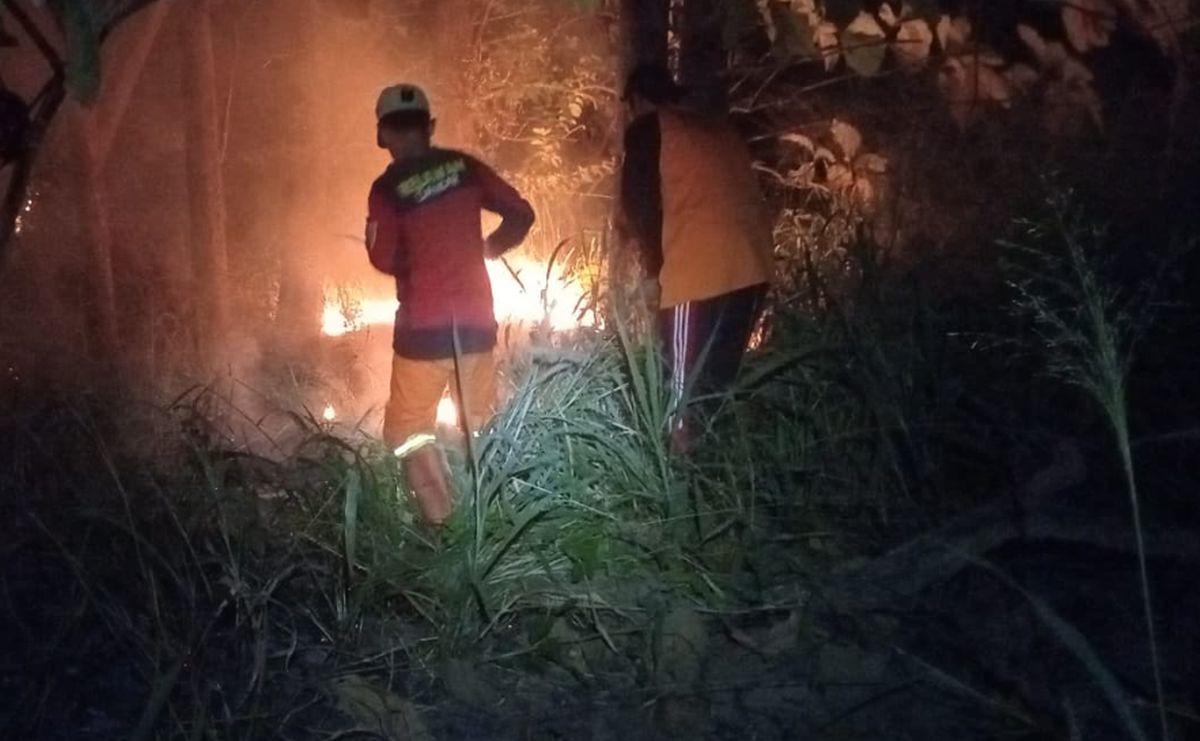 Video Bocah Pergoki Pria Bersenter di Tengah Karhutla, Dua Terduga Pelaku Diamankan Polisi